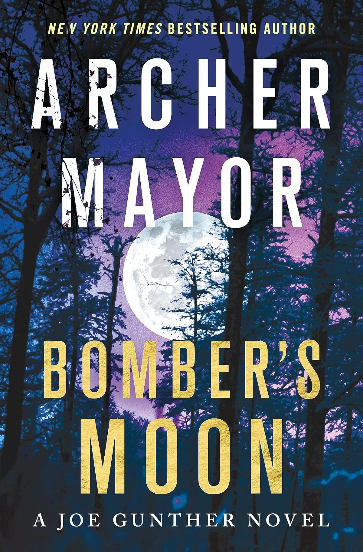 Bomber's Moon (Joe Gunther Mysteries #30) by Archer Mayor