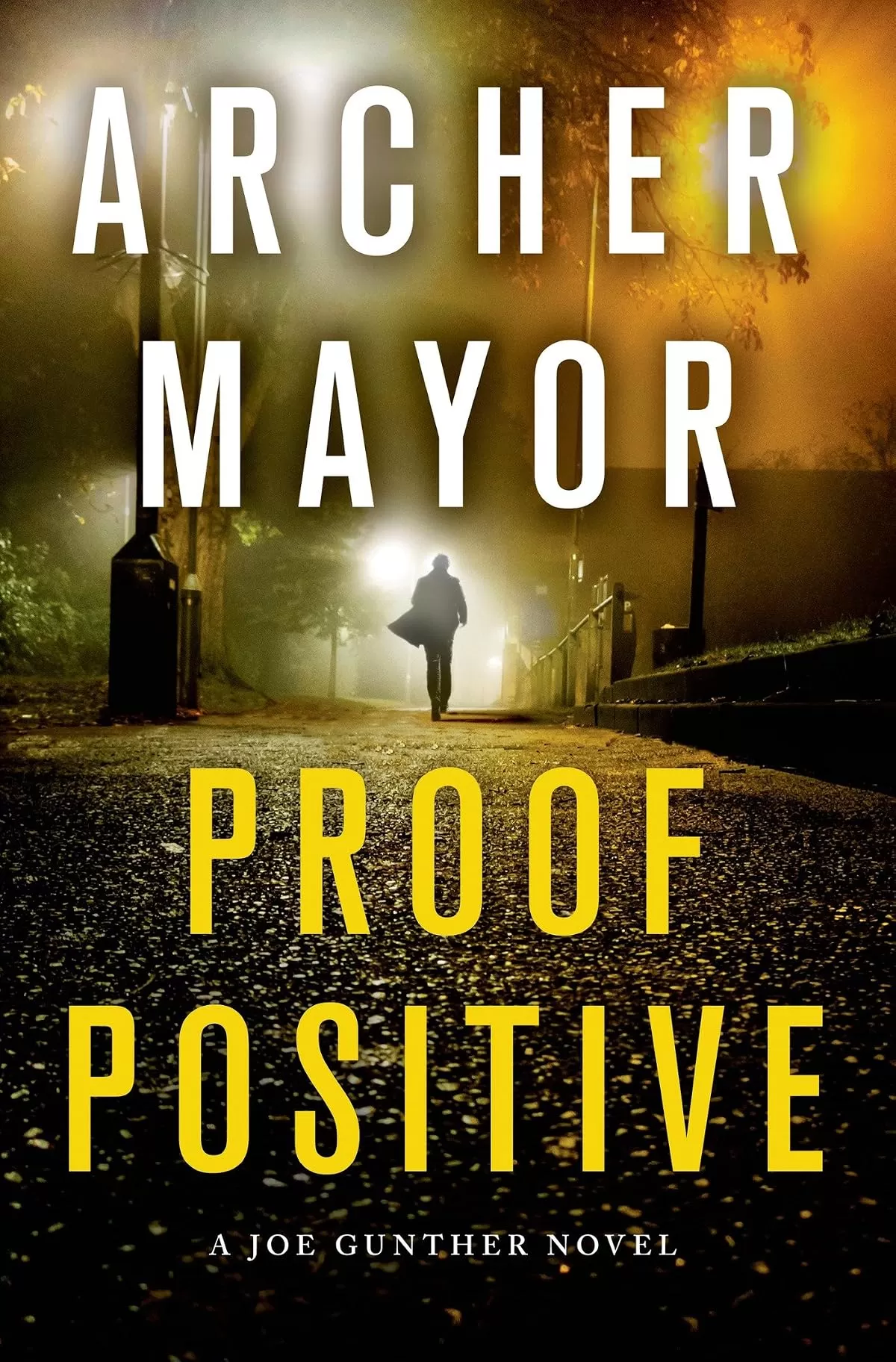 Proof Positive (Joe Gunther Mysteries #25) by Archer Mayor