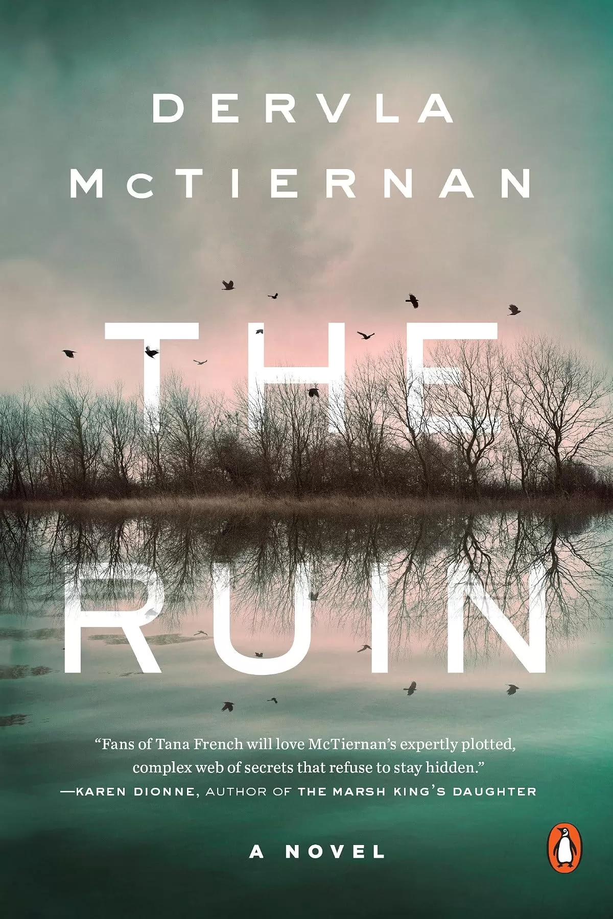 The Ruin (DI Cormac Reilly #1) by Dervla McTiernan