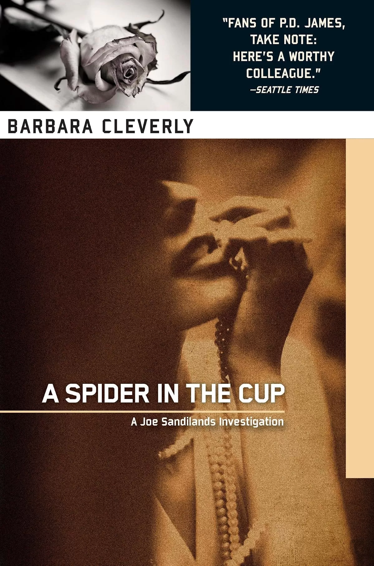 A Spider in the Cup (Joe Sandilands #11) by Barbara Cleverly