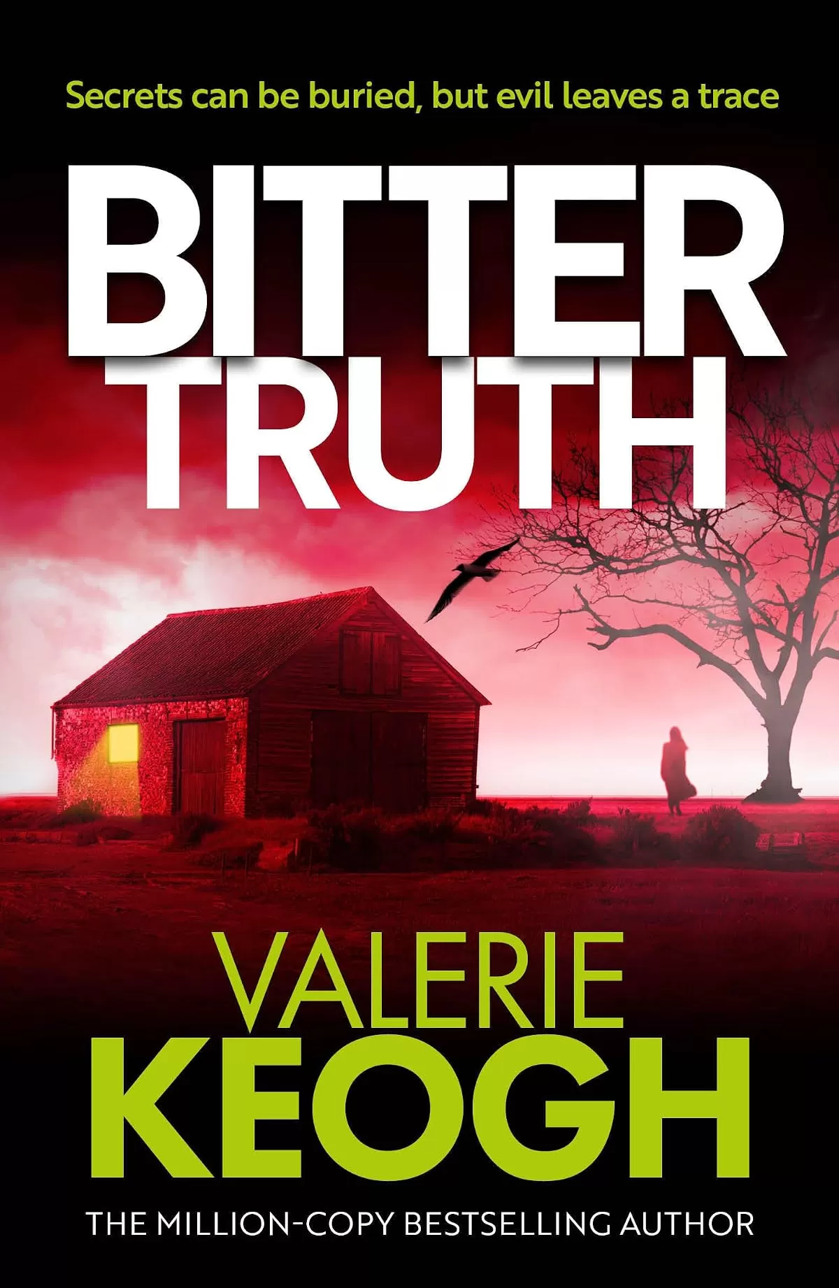 Bitter Truth (Hudson and Connolly #3) by Valerie Keogh