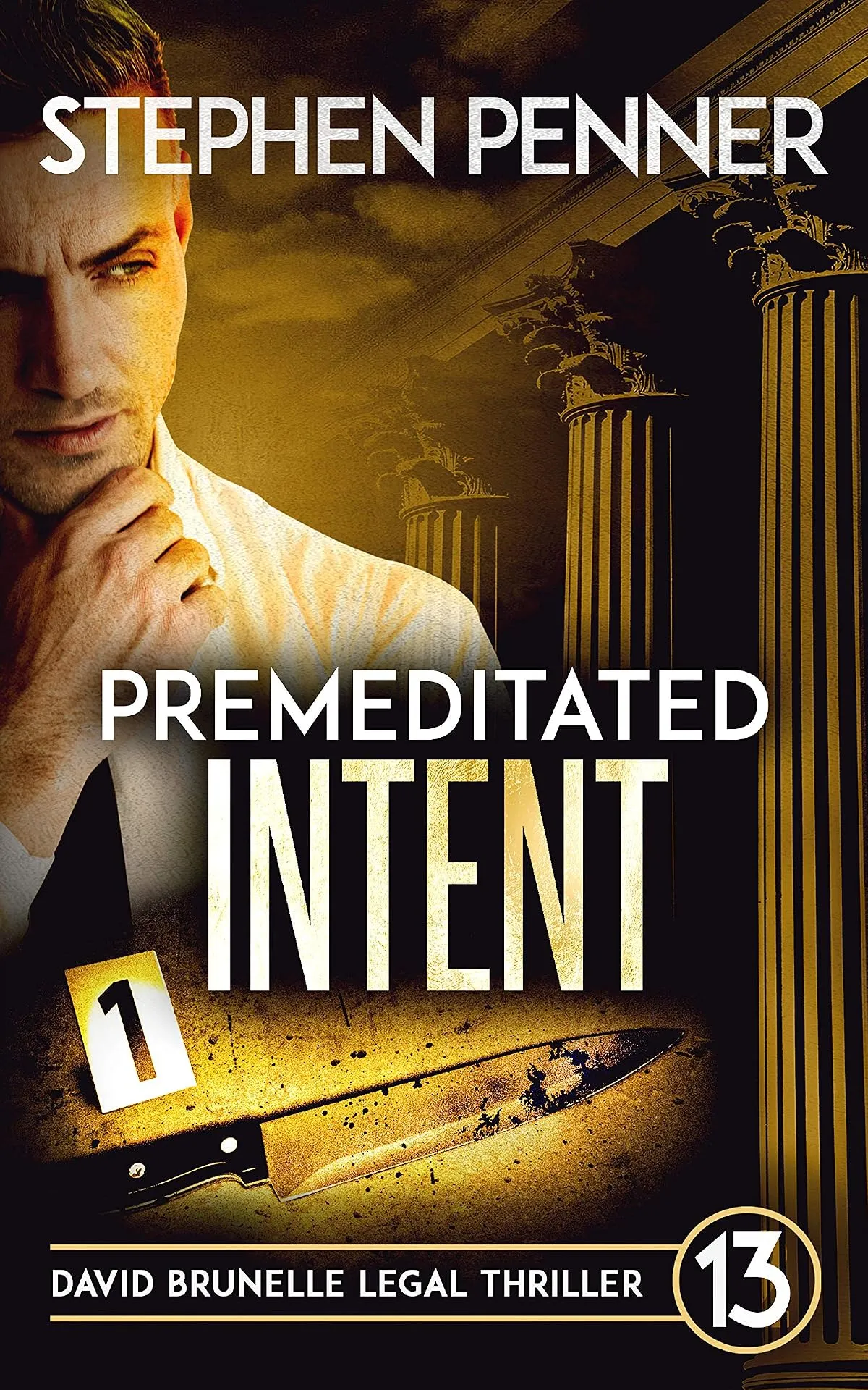 Premeditated Intent (David Brunelle Legal Thriller Series #13) by Stephen Penner