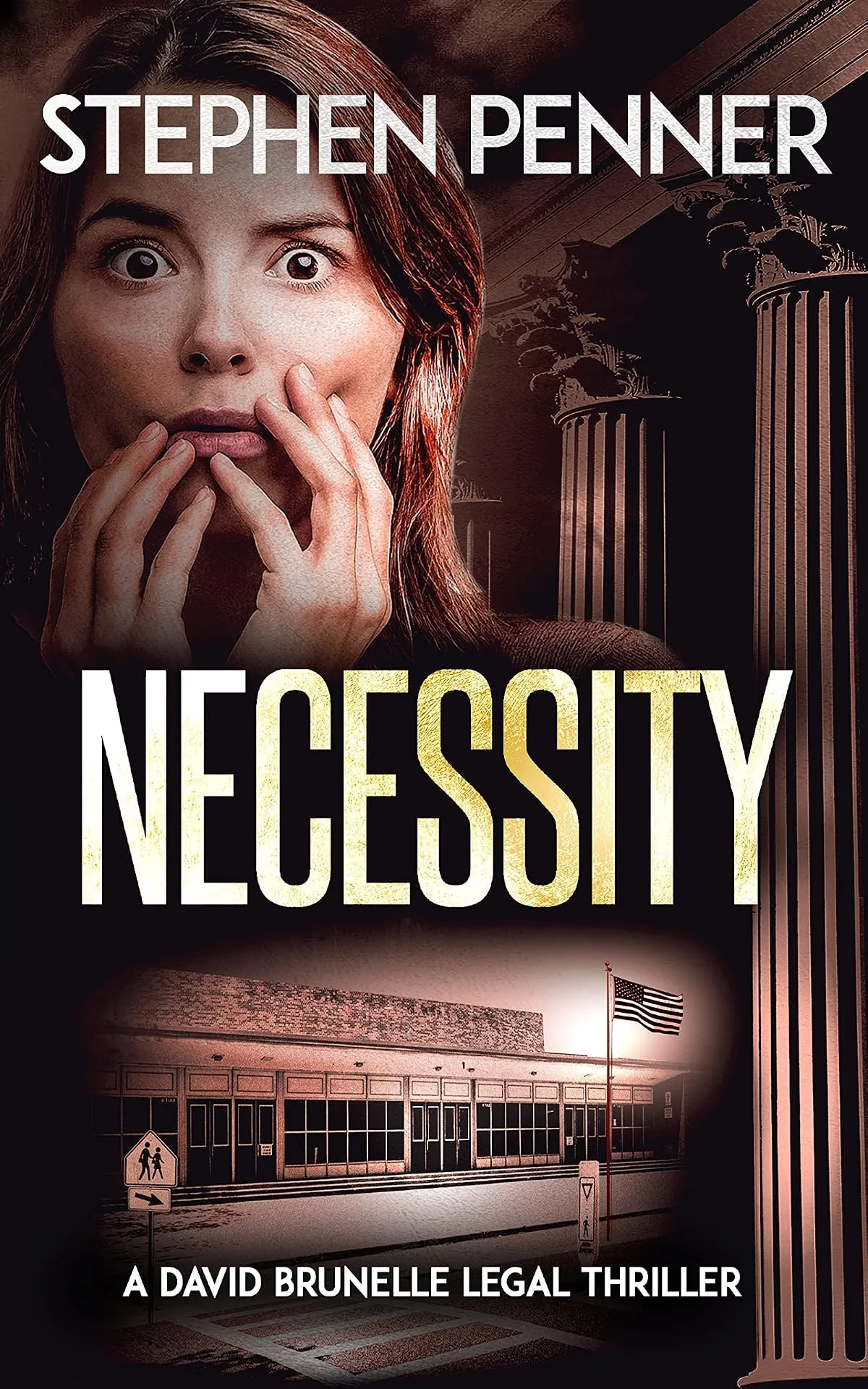 Necessity (David Brunelle Legal Thriller Series #16) by Stephen Penner