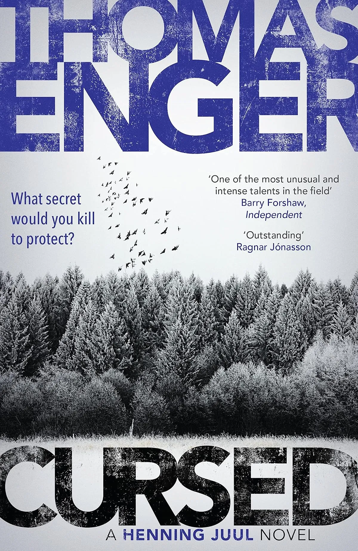 Cursed (Henning Juul #4) by Thomas Enger