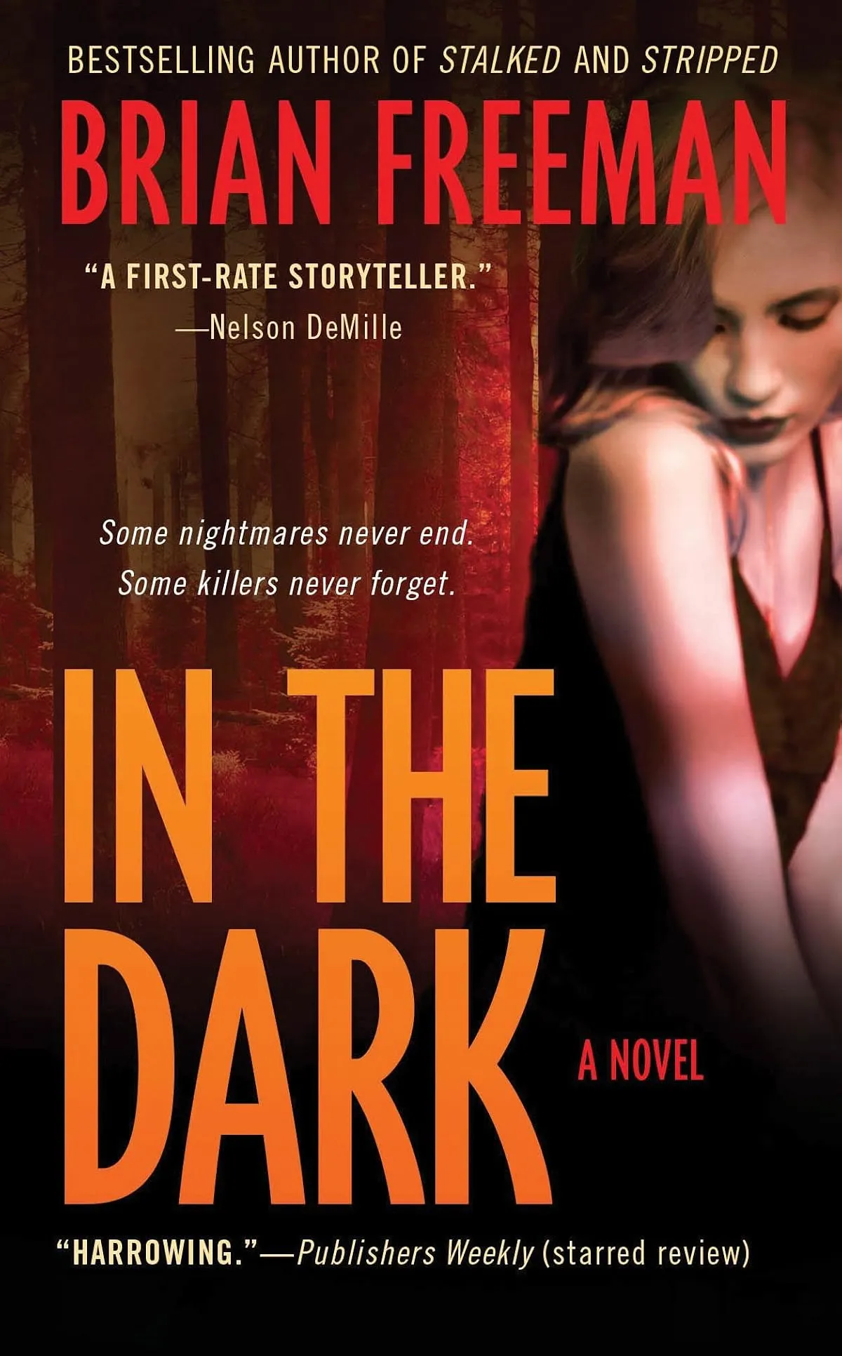 In the Dark (The Jonathan Stride Series #4) by Brian Freeman