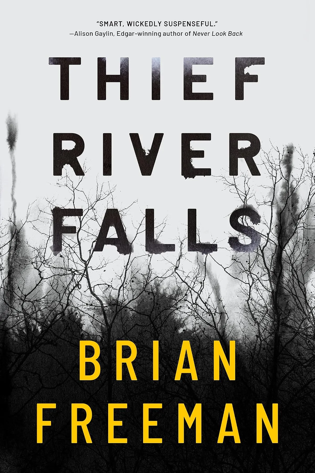 Thief River Falls by Brian Freeman