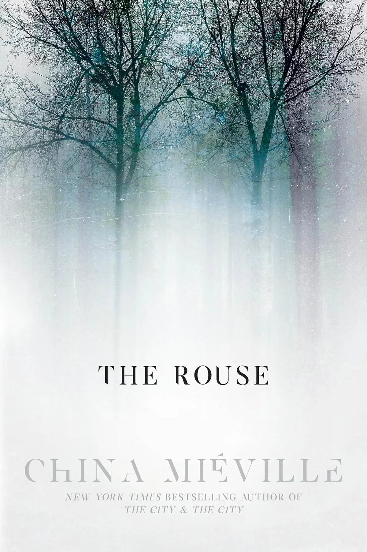 The Rouse