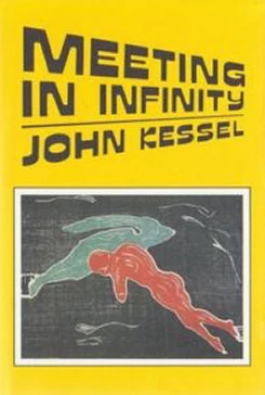Meeting in Infinity by John Kessel