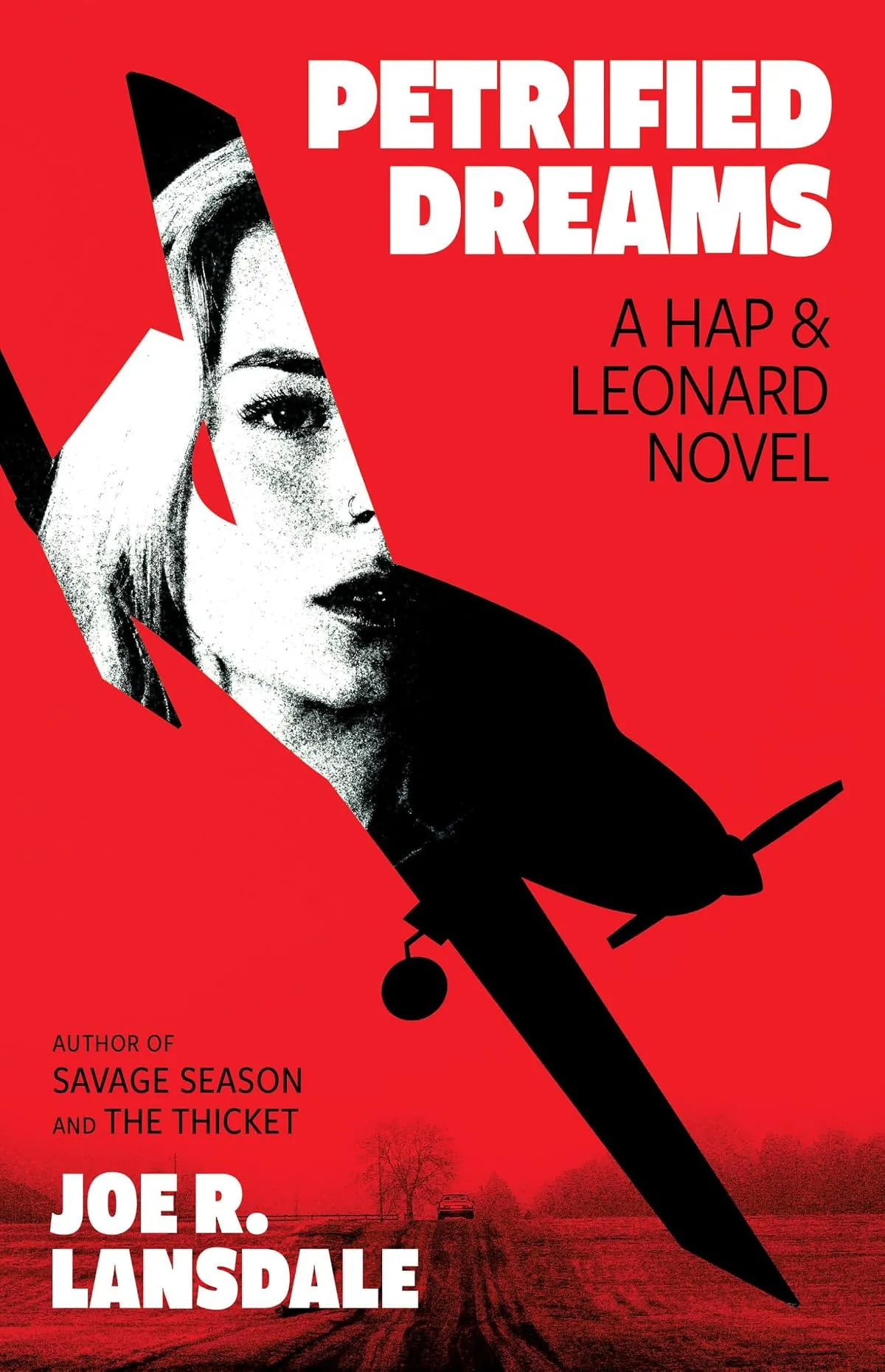 Petrified Dreams (Hap Collins and Leonard Pine #15) by Joe R. Lansdale