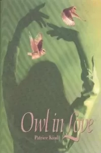 Owl in Love