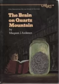The Brain on Quartz Mountain
