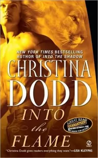 Into the Flame (Darkness Chosen #4)