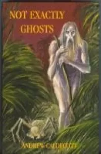 Not Exactly Ghosts