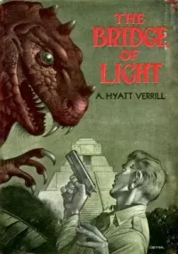 The Bridge of Light