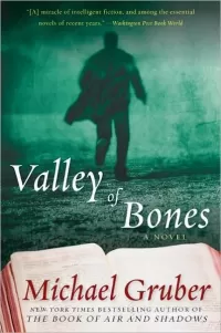 Valley of Bones
