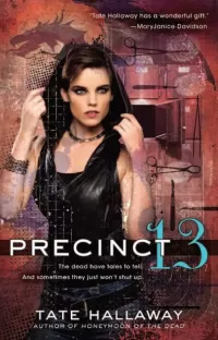 Precinct 13