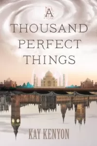 A Thousand Perfect Things