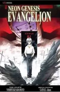 Neon Genesis Evangelion: Volume 11 (Neon Genesis Evangelion #11)