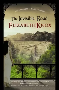 The Invisible Road (The Dreamhunter Duet)