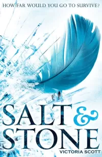 Salt & Stone (Fire & Flood #2)