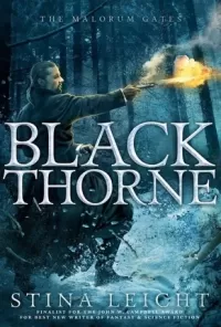 Blackthorne (The Malorum Gates #2)