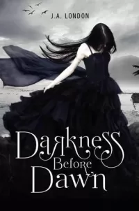 Darkness Before Dawn (Darkness Before Dawn Trilogy #1)
