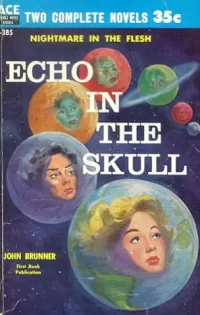 Echo in the Skull