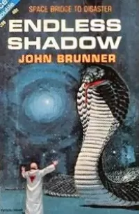 Endless Shadow