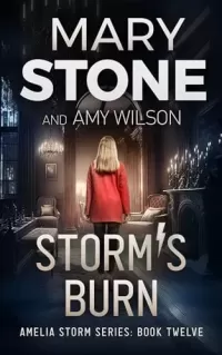 Storm's Burn (Amelia Storm FBI Mystery Series #12)