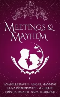 Meetings & Mayhem