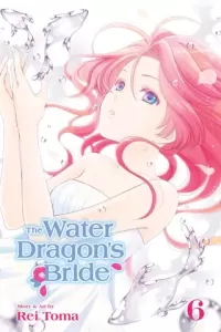 The Water Dragon's Bride, Vol. 6 (The Water Dragon's Bride #6)
