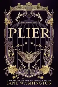 Plier (Ironside Academy #1)