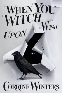 When You Witch Upon A Wish (Foxglove Falls Mysteries #12)