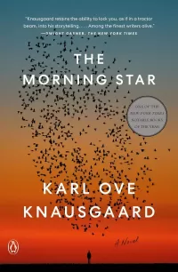 The Morning Star (The Morning Star #1)