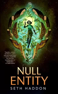 Null Entity (The Volatile Memory Duology #2)