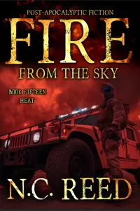 Fire From the Sky: Book 15 (Fire From the Sky #15)