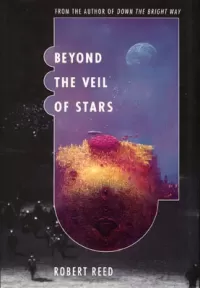 Beyond the Veil of Stars (Veil of Stars #1)