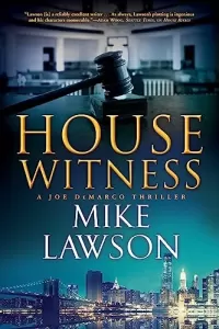 House Witness (Joe DeMarco #12)