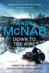 Down to the Wire (Nick Stone #20)