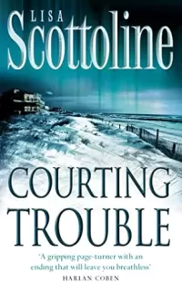 Courting Trouble (Rosato & Associates #7)