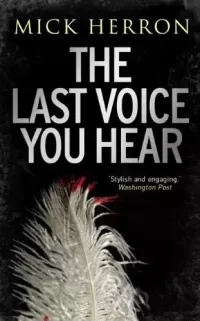 The Last Voice You Hear (The Oxford Investigations #2)