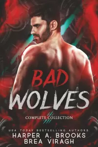 Bad Wolves: Wolf Shifter Fairytale Retelling Romance