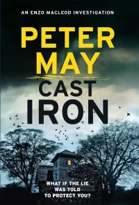 Cast Iron (Enzo Files #6)