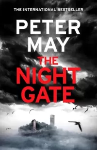 The Night Gate (Enzo Files #7)