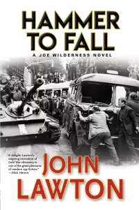 Hammer to Fall (The Joe Wilderness Novels #3)
