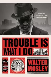 Trouble Is What I Do (Leonid McGill series #6)