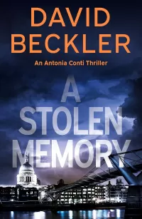 A Stolen Memory (An Antonia Conti Thriller #2)