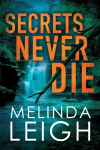 Secrets Never Die (Morgan Dane #5)