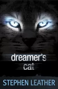 Dreamer's Cat