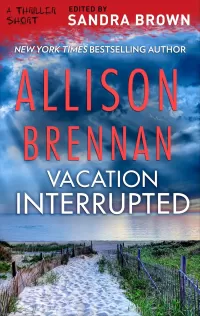 Vacation Interrupted (Lucy Kincaid Novels #4.5)